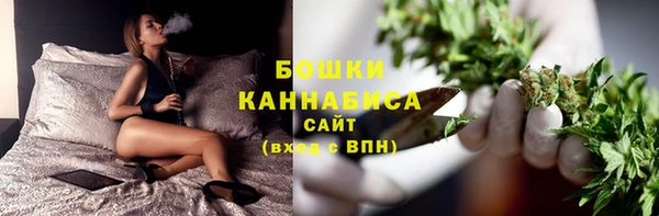 молекула духа Дмитров