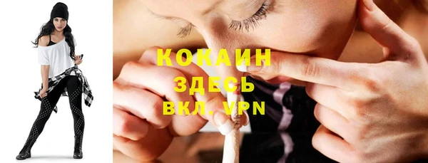 крисы Дмитриев