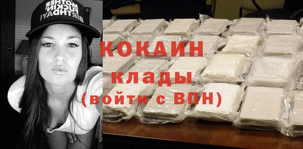 крисы Дмитриев