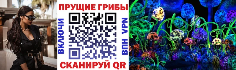Купить  Палласовка  Псилоцибиновые грибы ЛСД 
