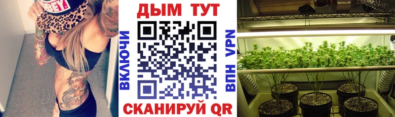 Купить  Палласовка  Конопля OG Kush 